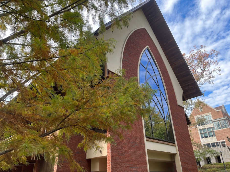 cypress with the chapel windows in the background