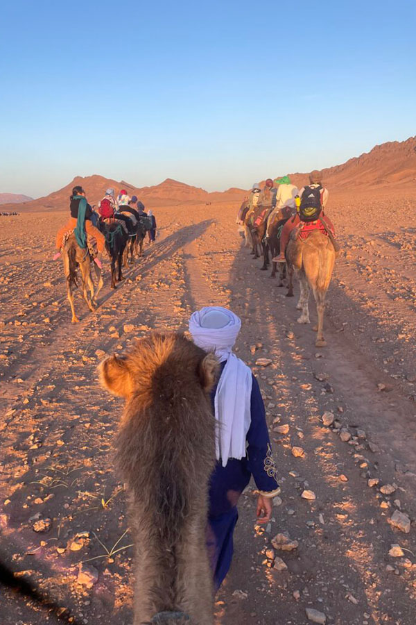 students riding camel through the desert